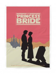 the-princess-bride