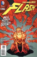 FLASH 15 cover