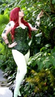 poisonivy