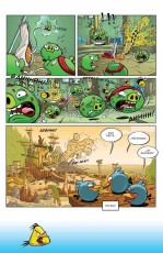 AngryBirds_02-5