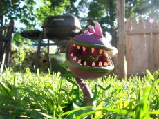 Chomper