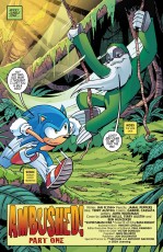 Sonic_266-3