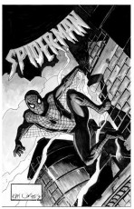 2015sinnottchallengespideynvokes72