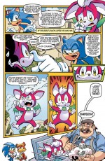 Sonic_272-5