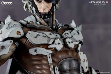 raiden_W_closeup_gecco_02