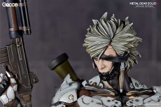 raiden_W_closeup_gecco_05