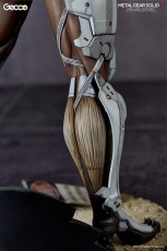 raiden_W_closeup_gecco_09