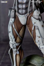 raiden_W_closeup_gecco_19