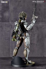 raiden_W_standard_gecco_04