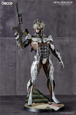 raiden_W_standard_gecco_13