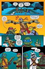 TMNT_NAA_24-4