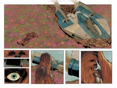 Chewbacca_1_Preview_2