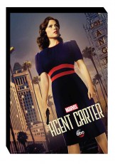 AGENTCARTER22ARTHC_slipcase