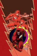 FLASH-WAID-tpb-COVER-copy