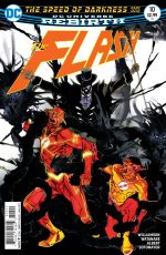 flash10cover