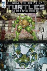 tmnt-universe07_cvra