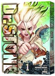 Dr. Stone