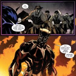 Marvel, Black Panther, T’Challa, T’Chaka, Ororo, Storm, Okoye, Wakanda, Killmonger, Shuri, Storm, X-Men, king, Africa, Ra, Khonshu, Moon Knight, Bryan Hill, Stefano Caselli, 