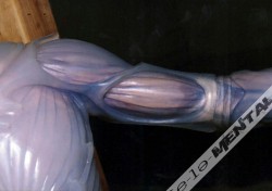 73623 462272718928 183083583928 5485554 3320796 n