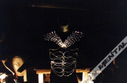 73623 462272738928 183083583928 5485558 789831 n