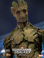 902220 groot 008
