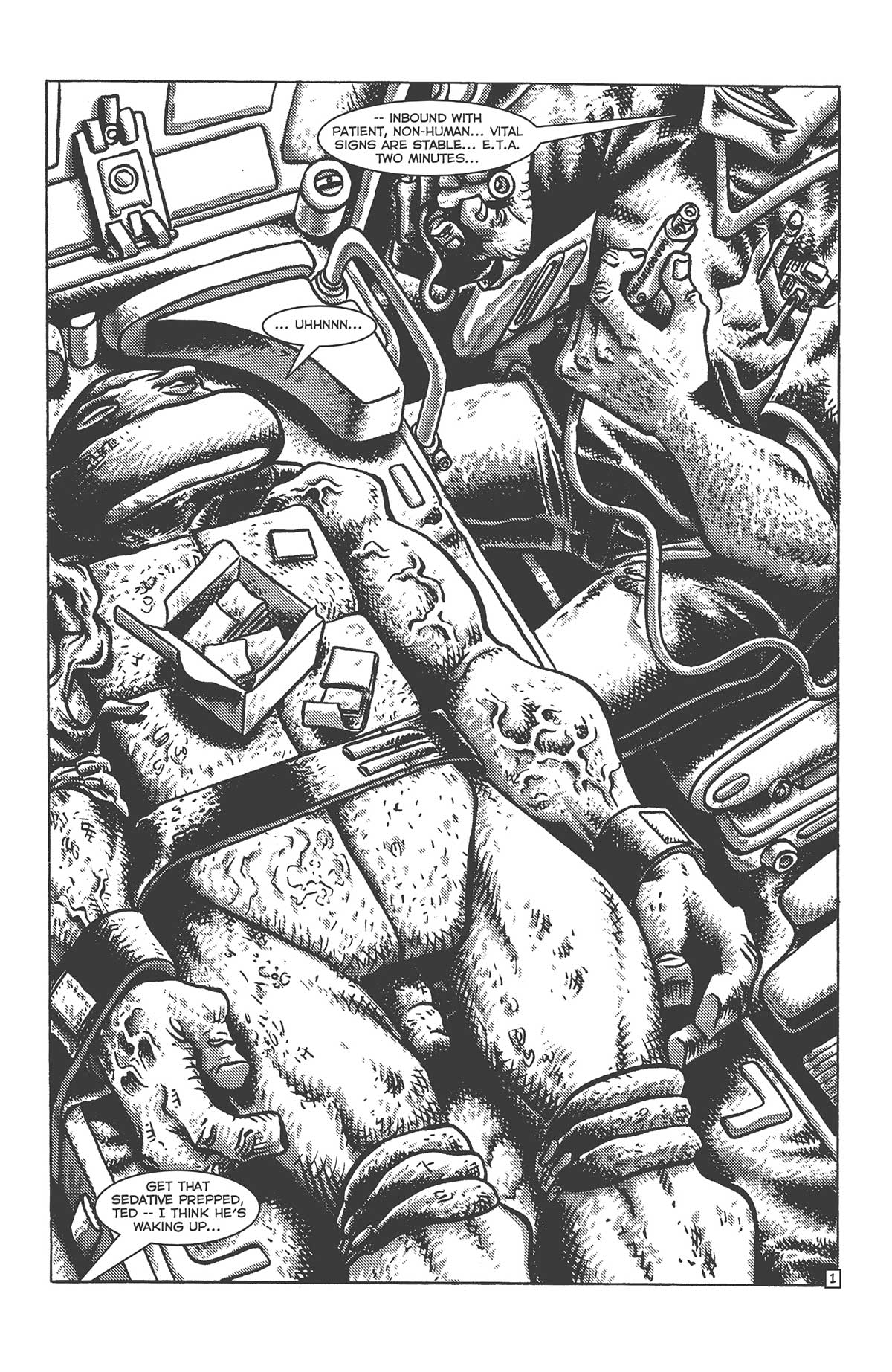 PREVIEW: TMNT: Journeys #2 3 TMNT JOURN 02 3